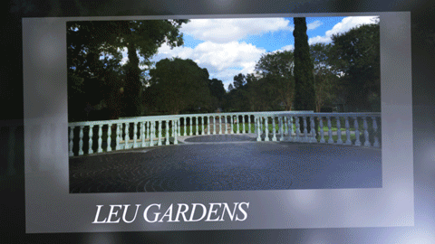 Leu-Gardens-Wedding-Venue