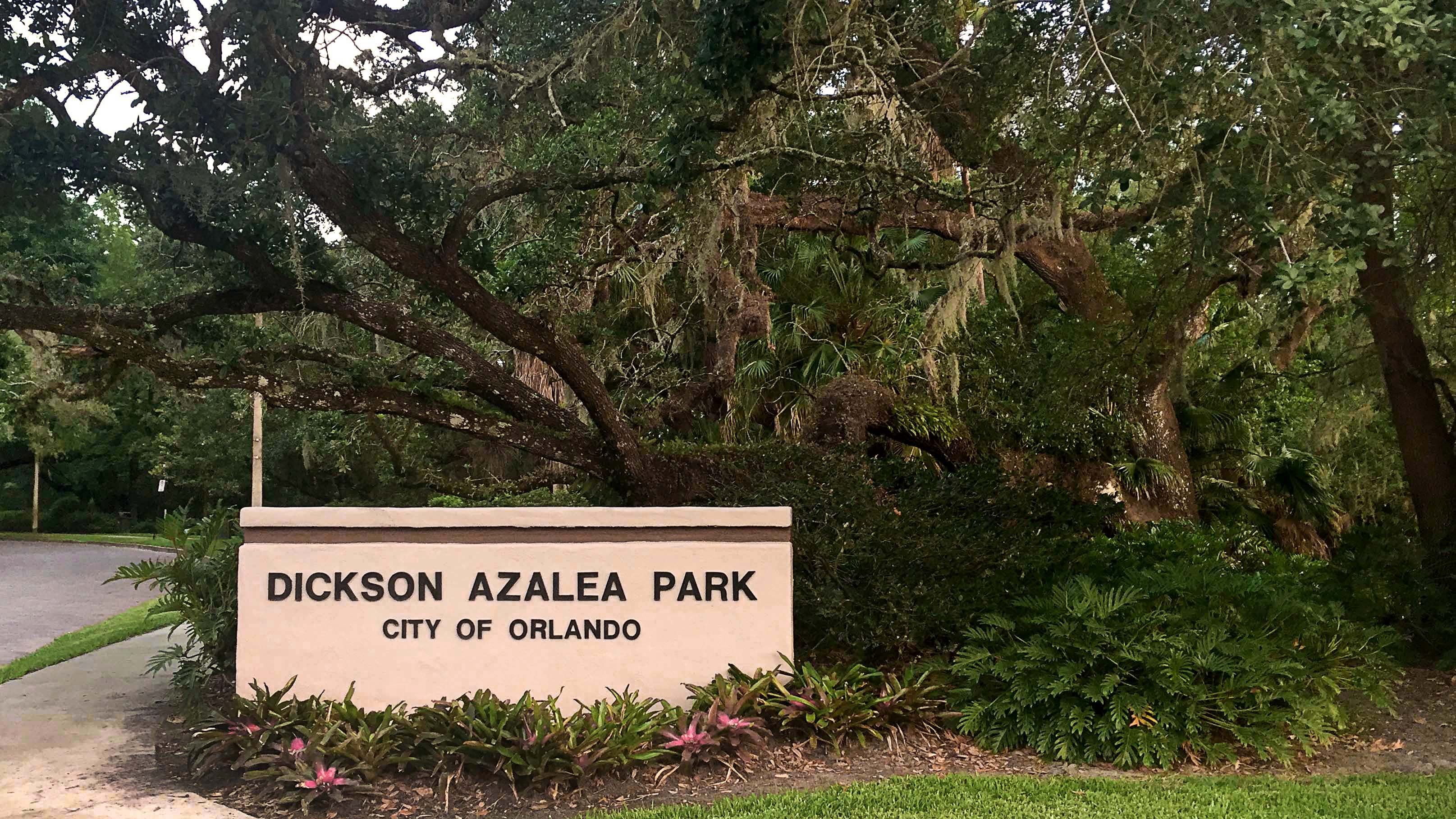 Dickson Azelea Park